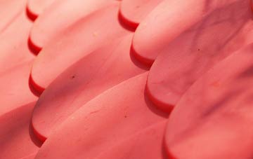 Little Bradley plastic roof costs