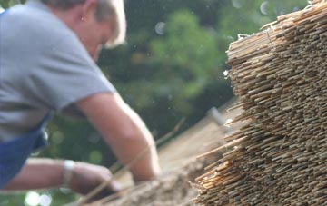 professional Little Bradley thatchers